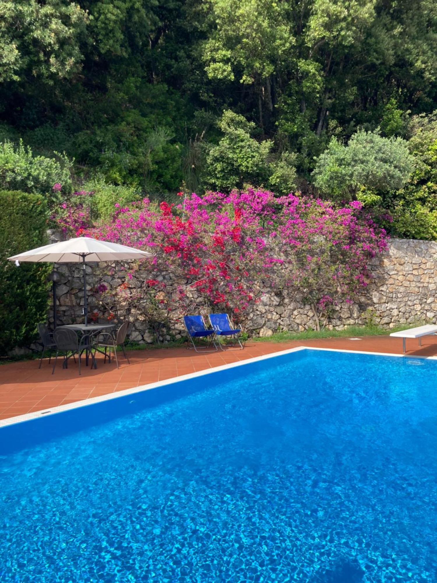 Appartement Il Casalino à Maratea Extérieur photo