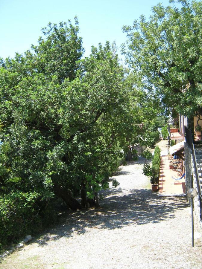 Appartement Il Casalino à Maratea Extérieur photo